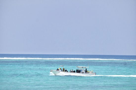 FB1E4154-4965-444B-8704-44D4C6EC7884